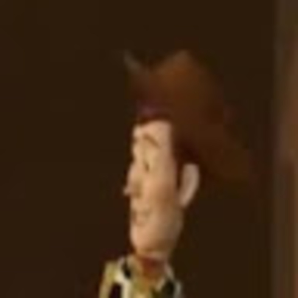 Meet your Posher, Hudson